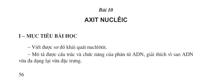 Bài 10. Axit nucleic